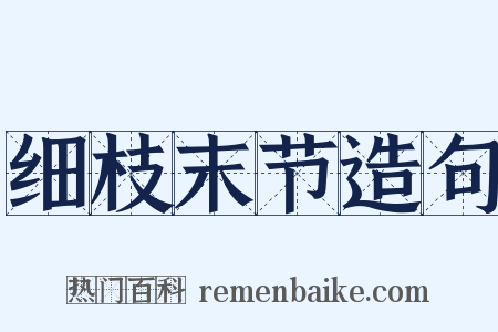 细枝末节造句是什么意思的图片